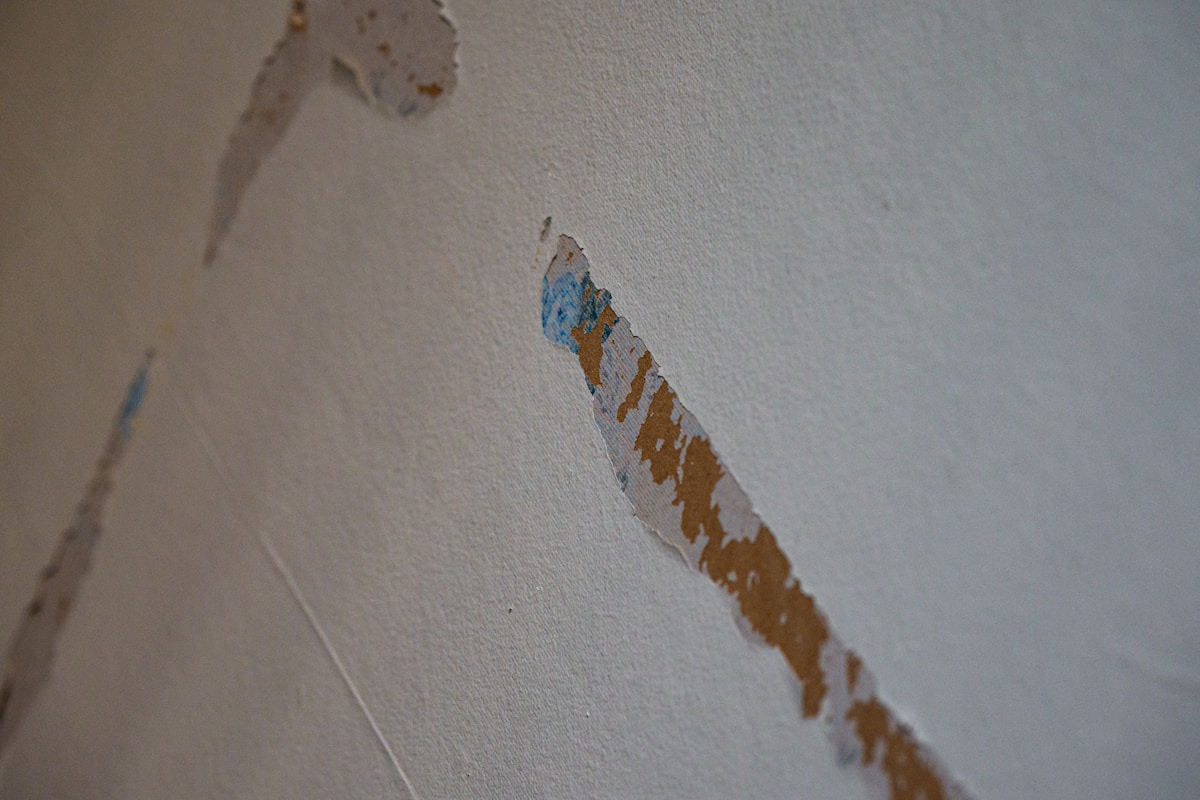 Structural Drying service in Oak Park, IL